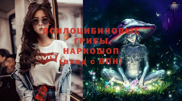 эйфоретик Новодвинск