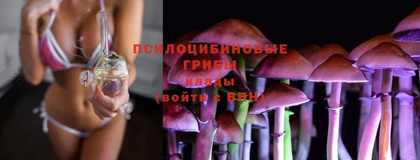 тгк Новозыбков