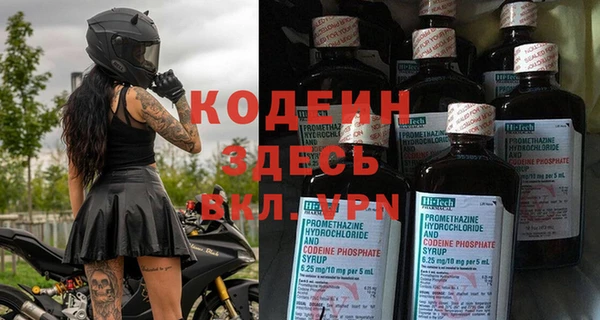 тгк Новозыбков