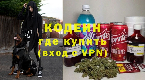 эйфоретик Новодвинск