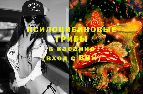 тгк Новозыбков