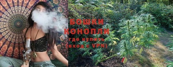 эйфоретик Новодвинск