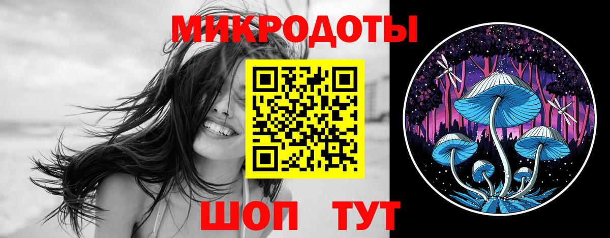 Псилоцибиновые грибы Psilocybine cubensis Чита