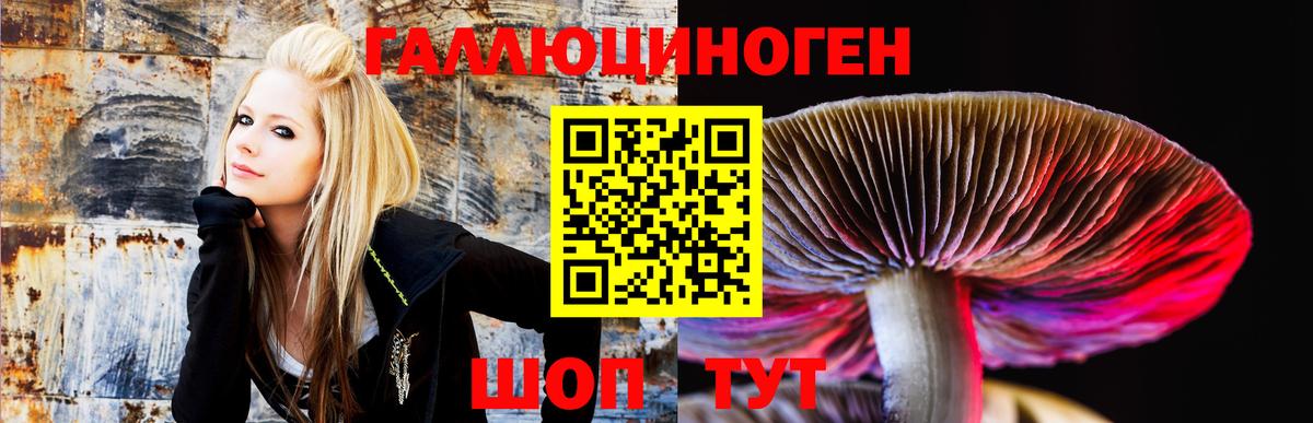 Галлюциногенные грибы Cubensis  Псилоцибиновые грибы мицелий  Вход с VPN  Чита 